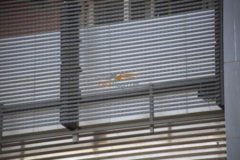 深圳LED玻璃屏品牌